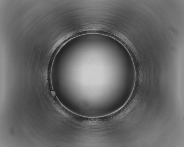 X0000113610834200909181417