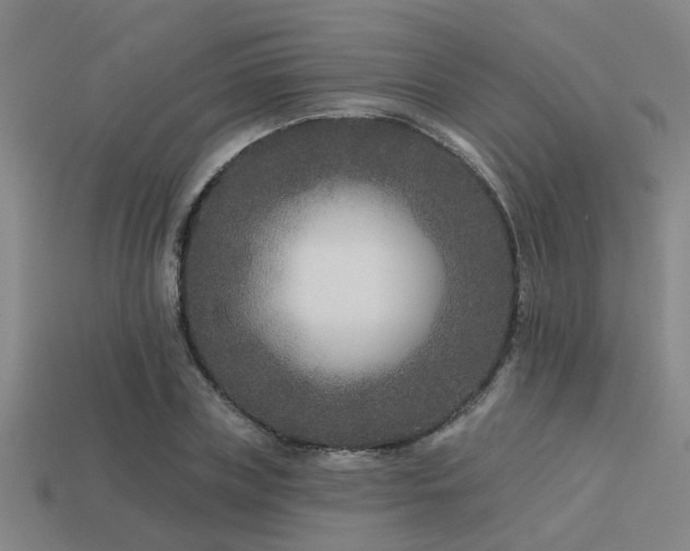 X0000113610835200909181417