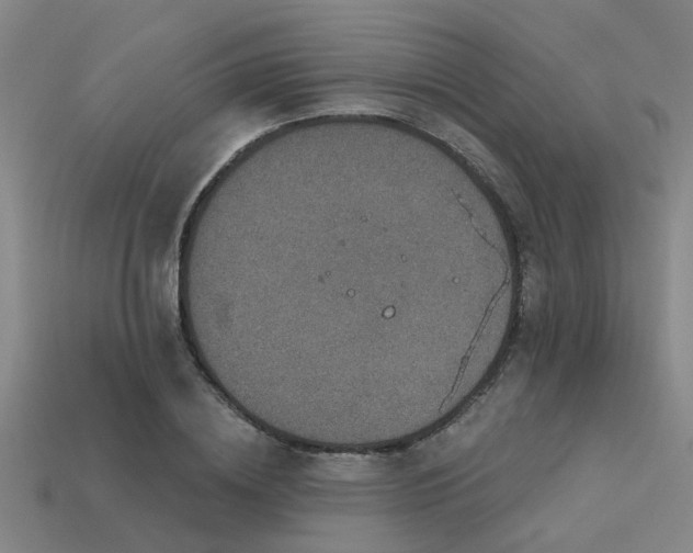 X0000113610836200909181417