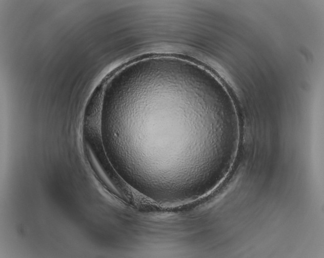 X0000113610837200909181417