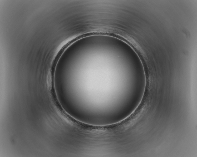 X0000113610838200909181417