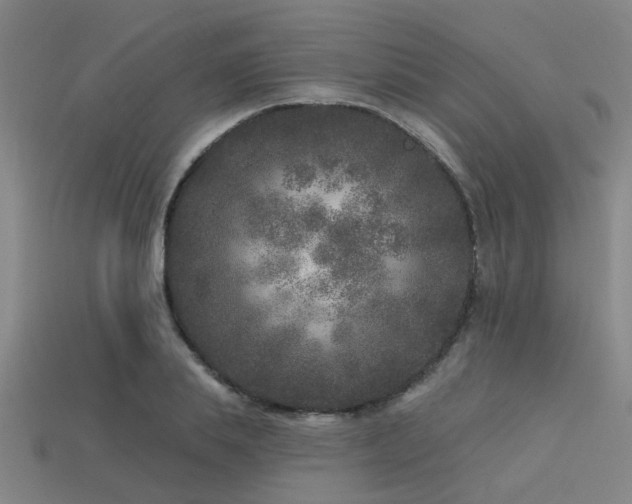 X0000113610839200909181417