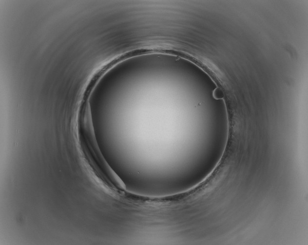 X0000113610840200909181417