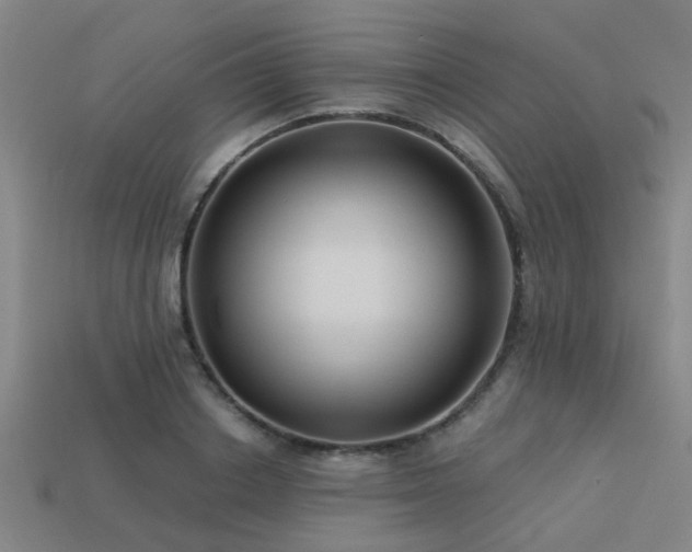 X0000113610842200909181417