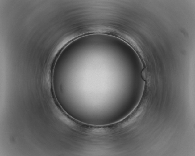 X0000113610843200909181417