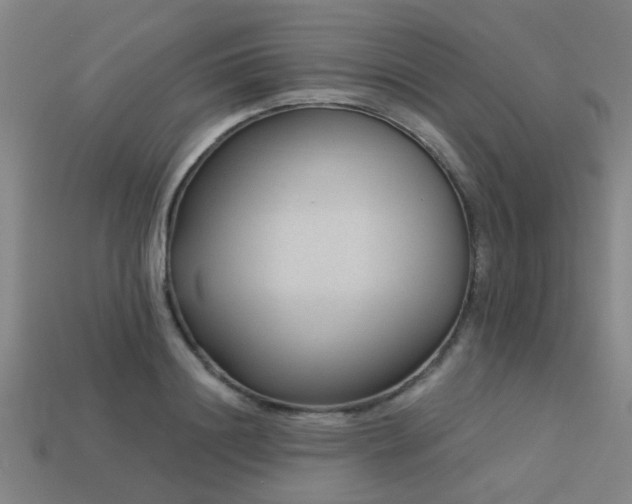 X0000113610844200909181417