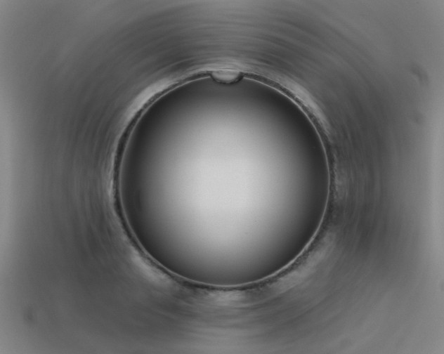 X0000113610845200909181417