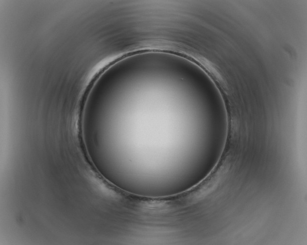 X0000113610846200909181417