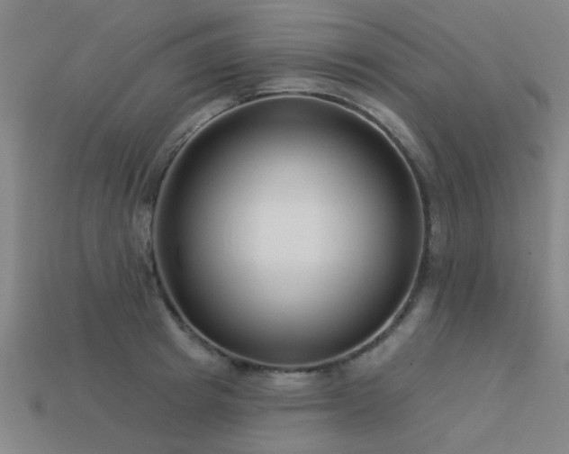 X0000113610849200909181417