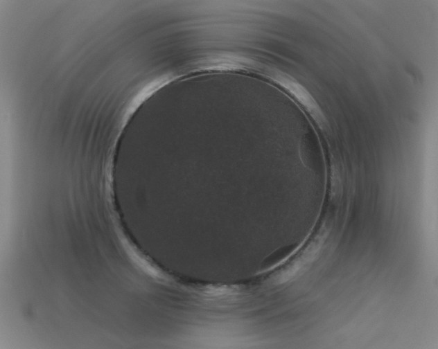 X0000113610850200909181417