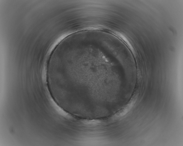 X0000113610851200909181417