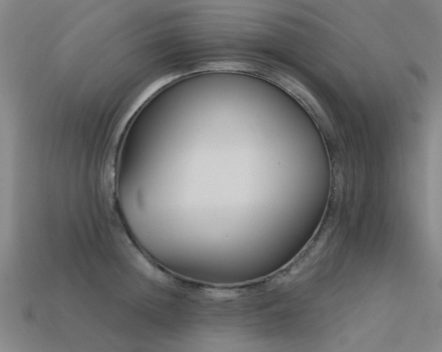 X0000113610852200909181417