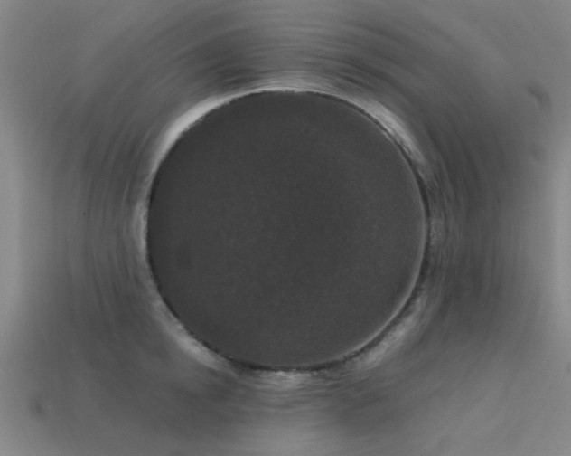 X0000113610854200909181417