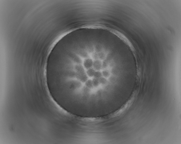 X0000113610855200909181417