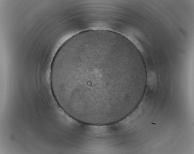 X0000113610856200909181417