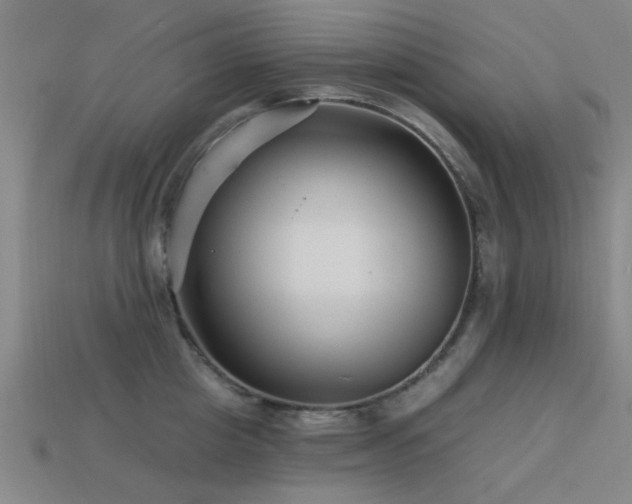 X0000113610857200909181417