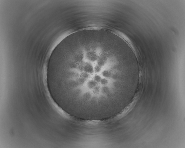 X0000113610859200909181417