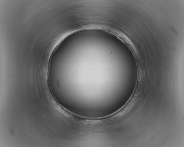 X0000113610860200909181418