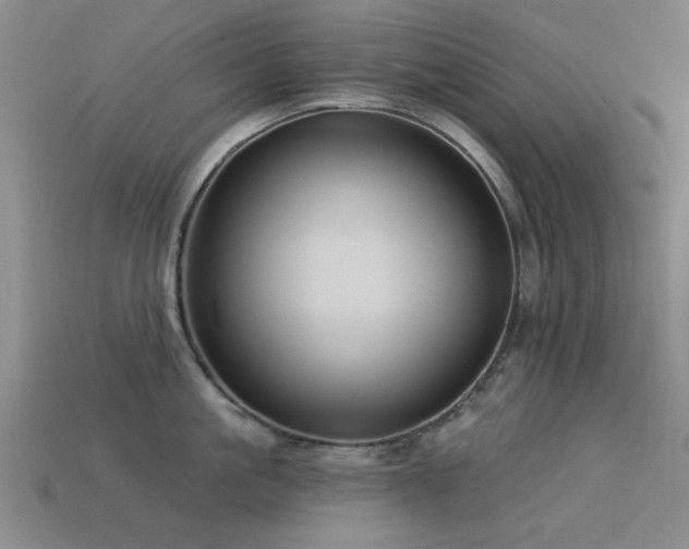 X0000113610861200909181418