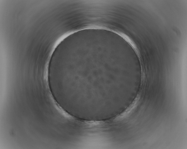 X0000113610862200909181418