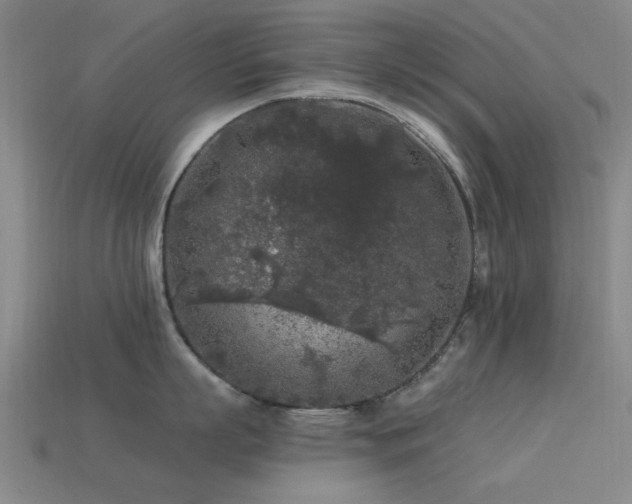 X0000113610863200909181418