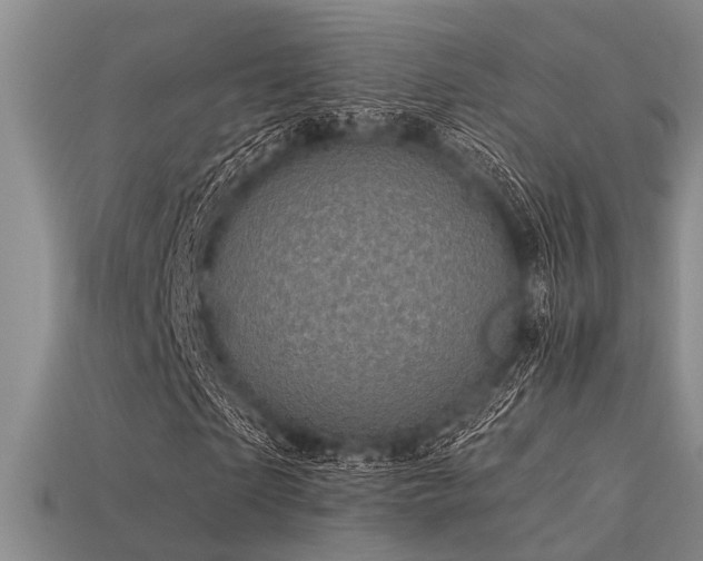 X0000113610865200909181417