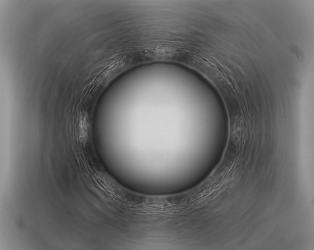 X0000113610866200909181417