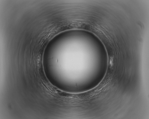 X0000113610867200909181417