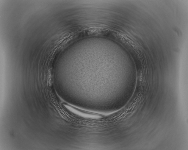 X0000113610868200909181417