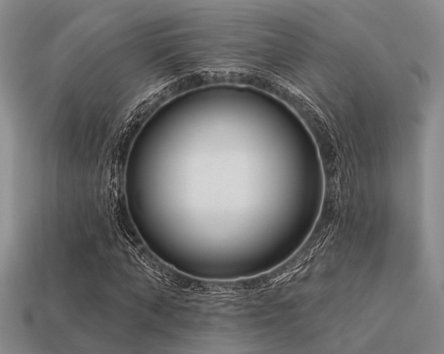 X0000113610870200909181417