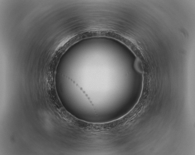 X0000113610871200909181417