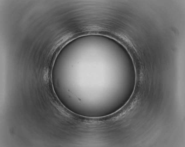 X0000113610873200909181417