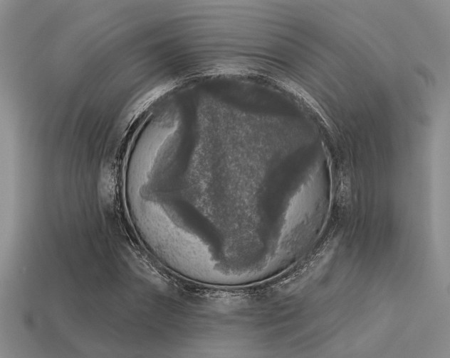 X0000113610874200909181417