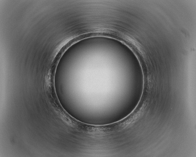 X0000113610875200909181417