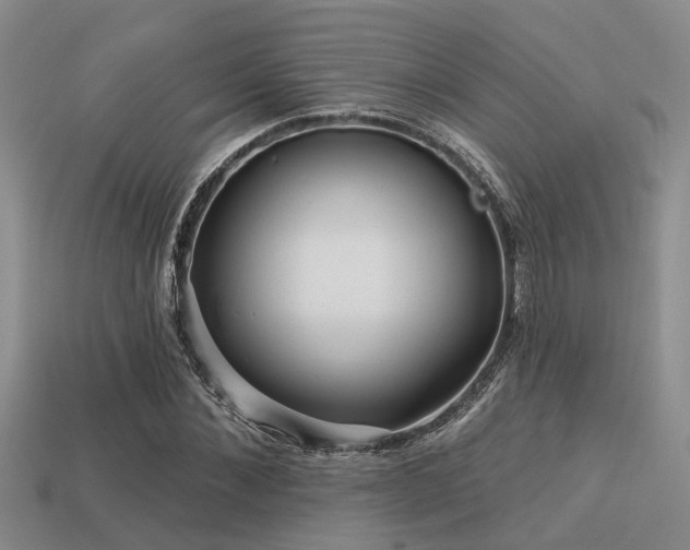 X0000113610876200909181417