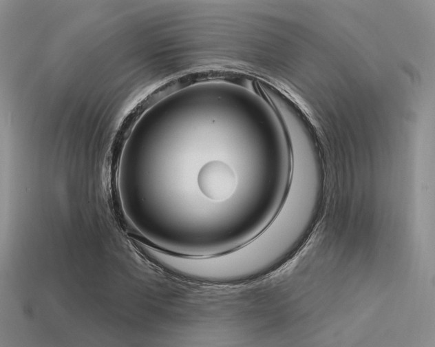 X0000113610877200909181417