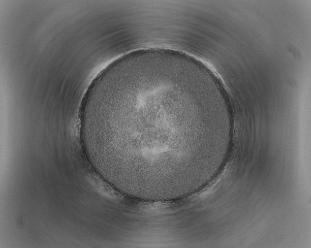 X0000113610879200909181417