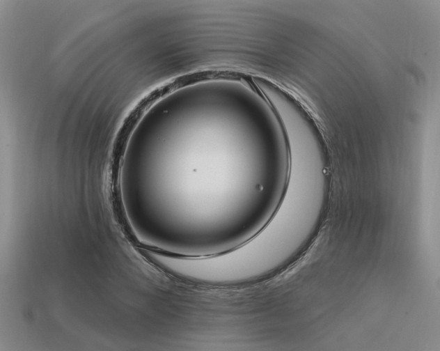 X0000113610880200909181417