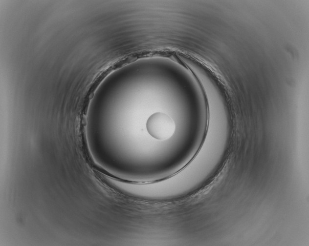 X0000113610881200909181417