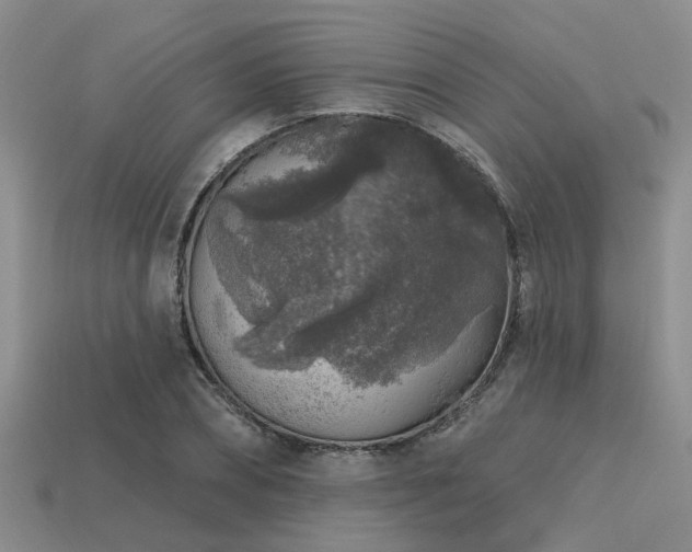 X0000113610882200909181417