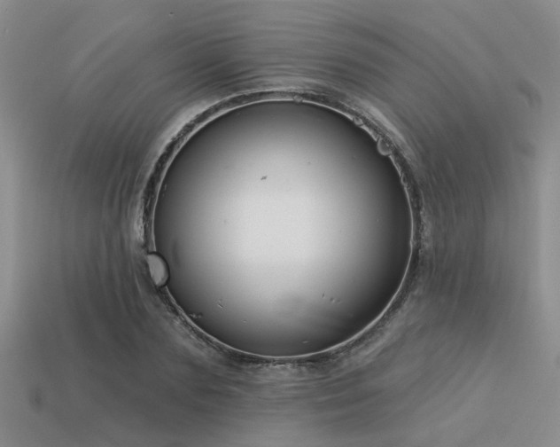 X0000113610883200909181417