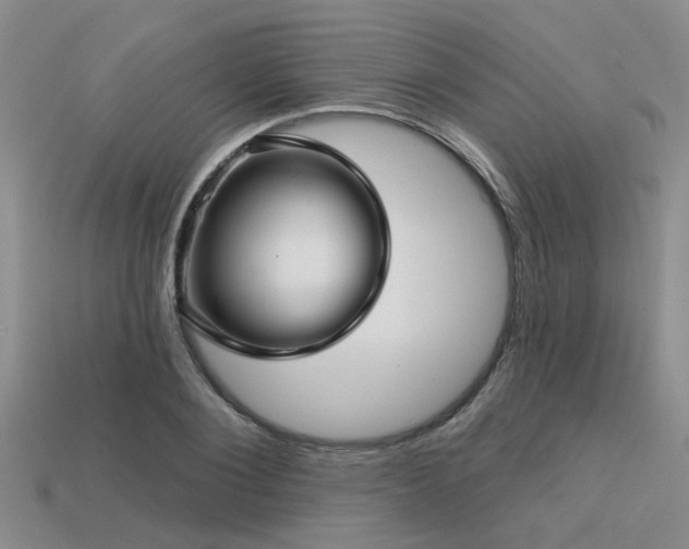 X0000113610884200909181417