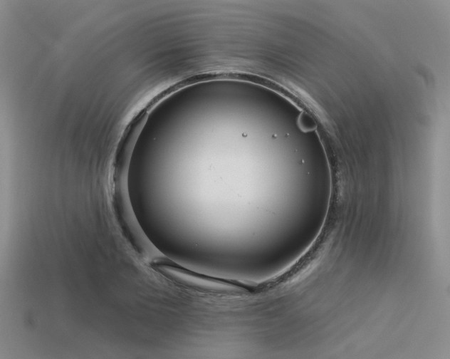 X0000113610885200909181417