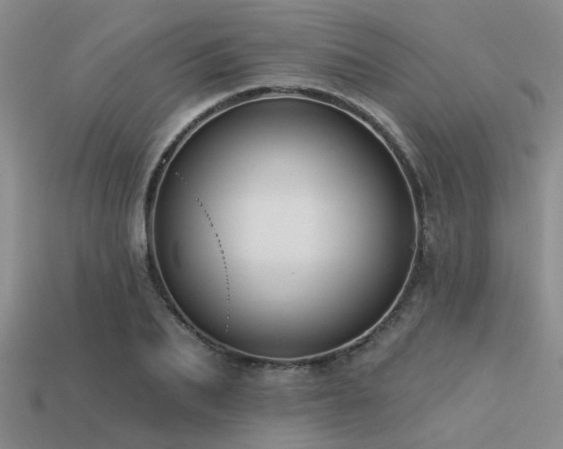 X0000113610887200909181417