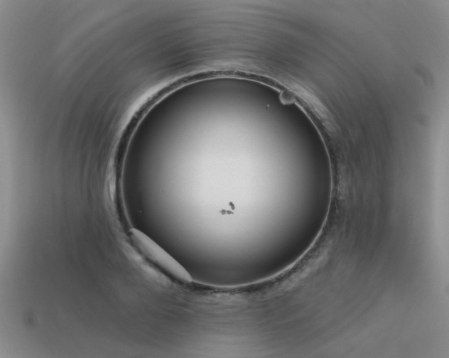 X0000113610888200909181417