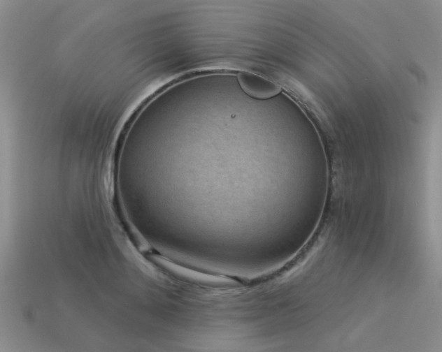 X0000113610892200909181417