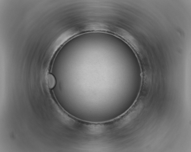 X0000113610893200909181417