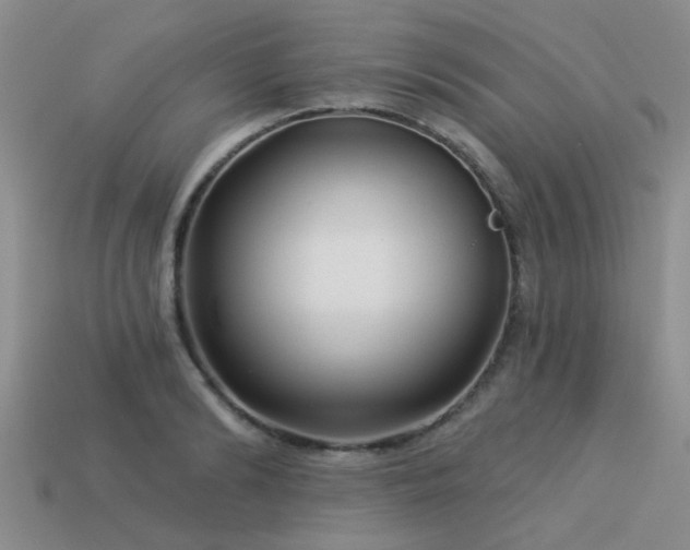 X0000113610894200909181417