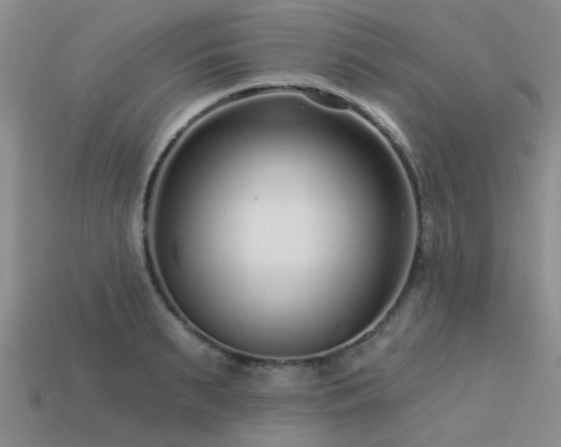 X0000113610895200909181417