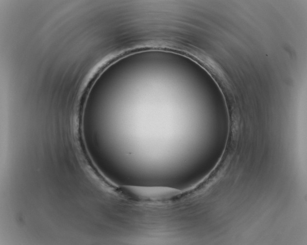 X0000113610896200909181417